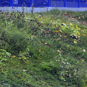 DSC7899