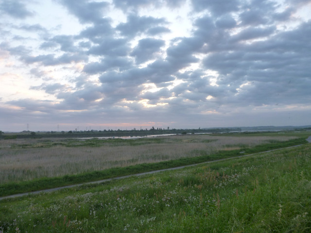 2021-05-10-050.jpg