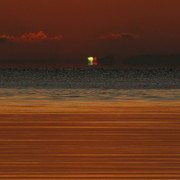 IMG-3526