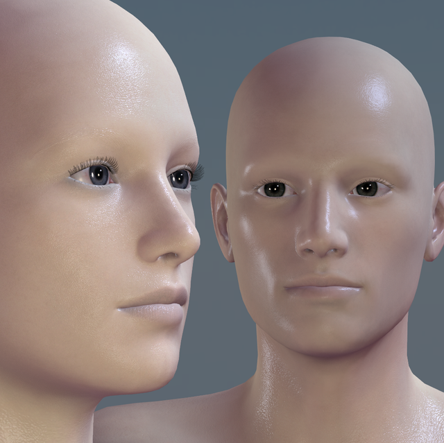 preview-d-nostrils