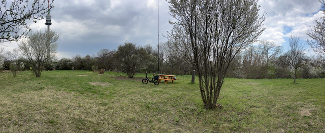 IMG-8787.jpg