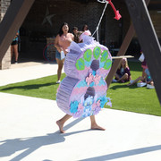 IMG-9645