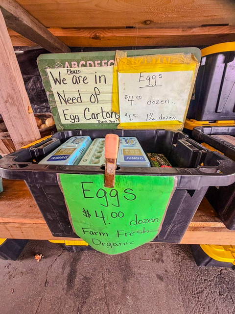Farm fresh egg cooler with the egg carton recycling sign at DJ's Fresh Market, Appleton WI
