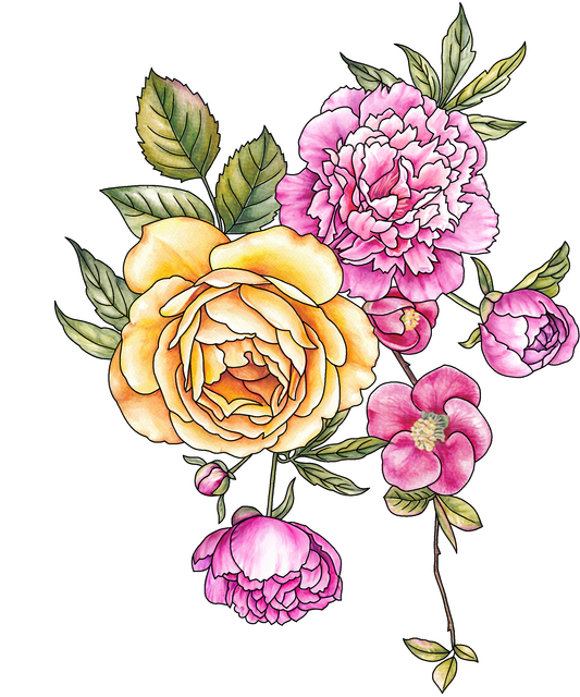 c23c71a4bf2441aa8c1f32b024c9cd50.png