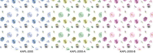 KAPL 2055.jpg