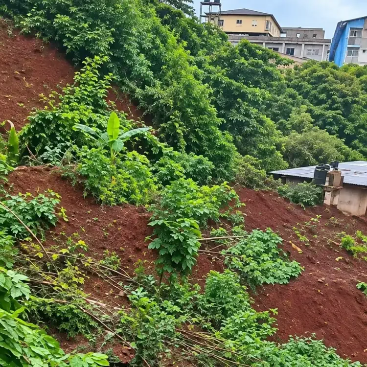 Illustration - Yaoundé : huit disparus après un glissement de terrain à Biteng-Maetur
