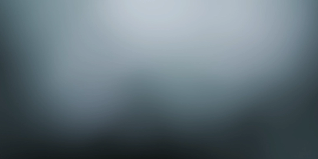 showcase.webp