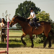 DSC03595