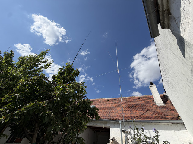 IMG 7459