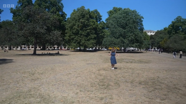 IMG 3610.jpg