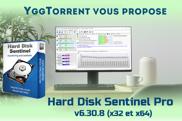 Version-redim.png