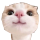 https://i.ibb.co/hxBD4pyc/29.png