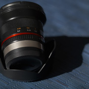FXT32079 Large