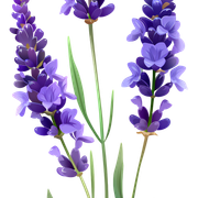 01-103