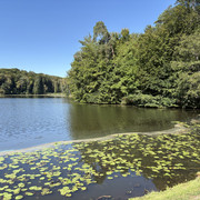 IMG 3693