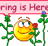 spring015