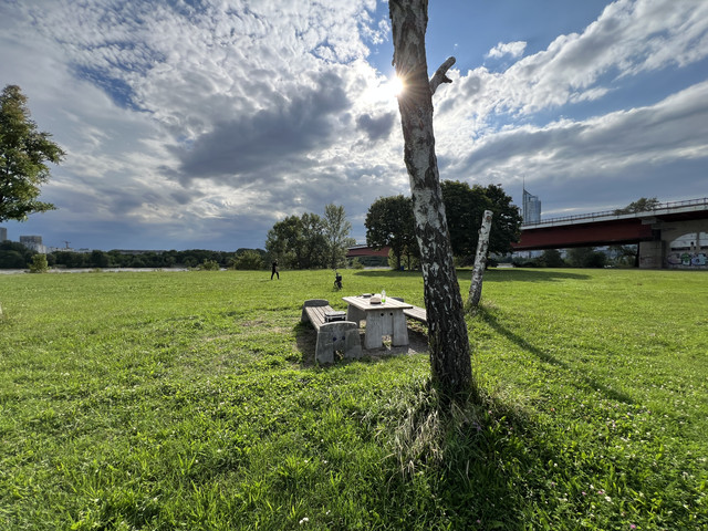 IMG-8730