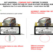 3 3979618 Correct Incorrect