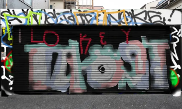 Graffiti artwork by taost
