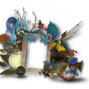 cluster-frame-224
