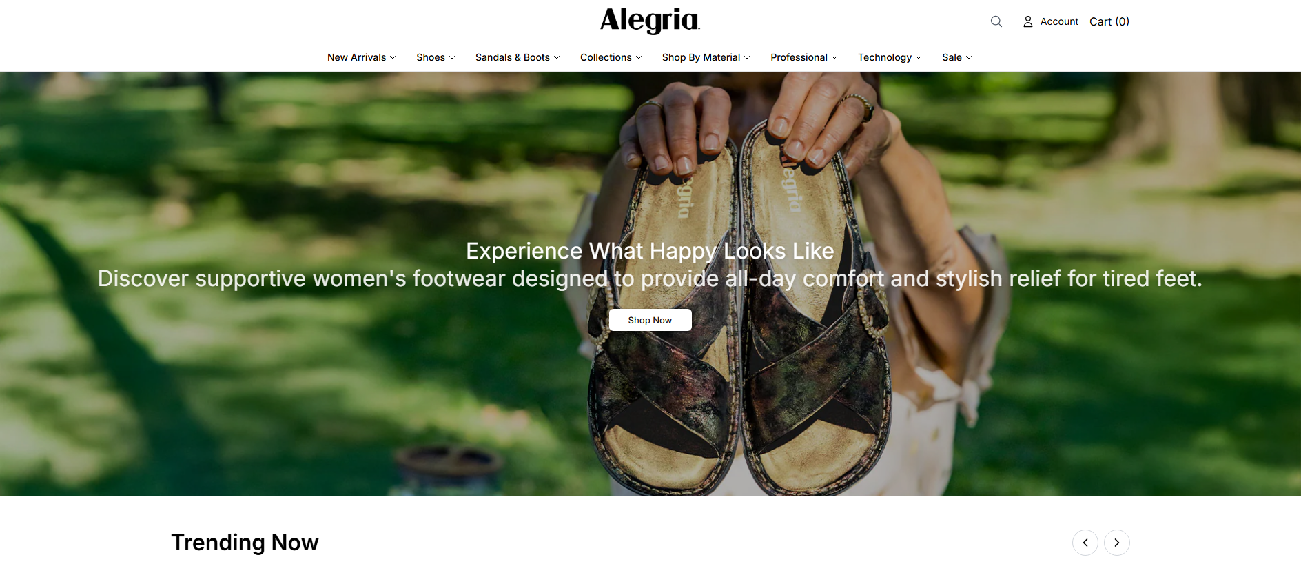 Stored capture of alegriashoes.shop
