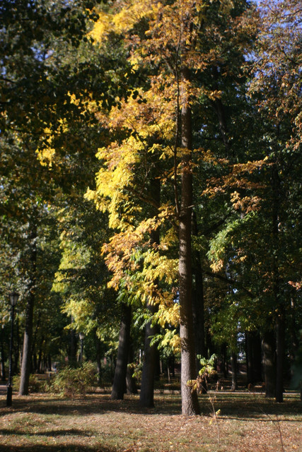IMG 7469.jpg