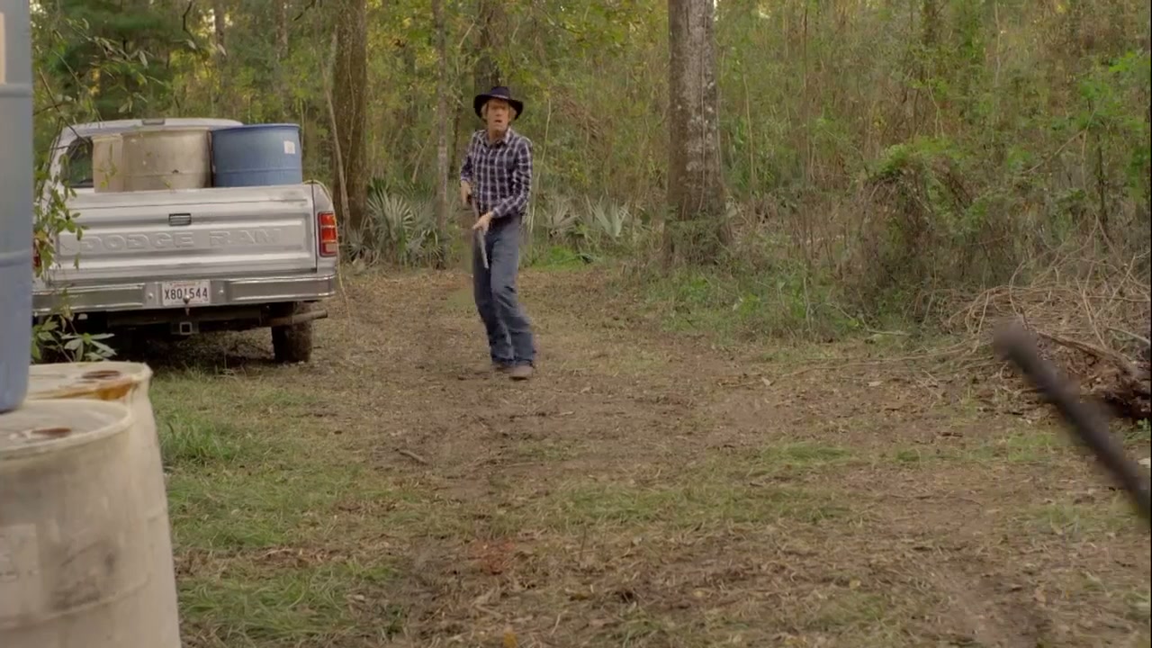 Alligator Alley Screenshot