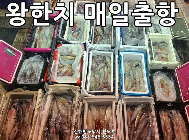 한치사진
