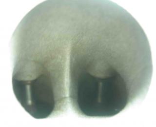 https://i.ibb.co/hxfQm8CZ/24675-2.jpg