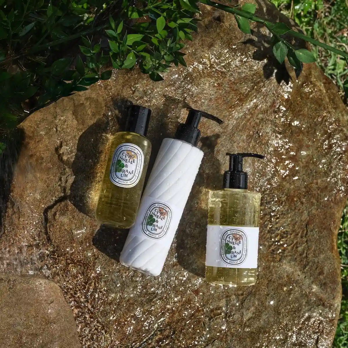 Diptyque Unveils Chic Summer Collection Inspired by Water Gardens