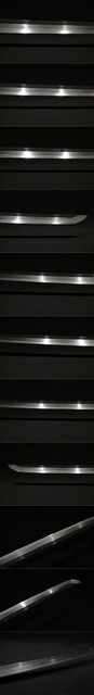 DSC7174.jpg