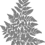 M 05