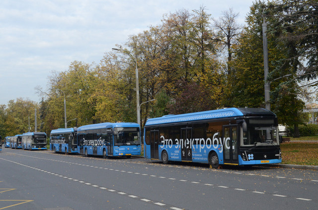 AAA 5195