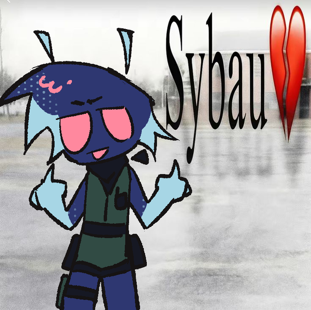 sybau-nova