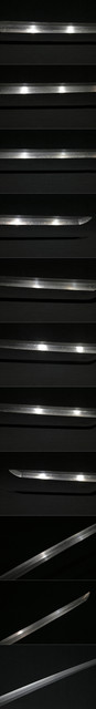 DSC3961.jpg