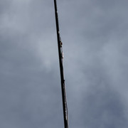 IMG 2594
