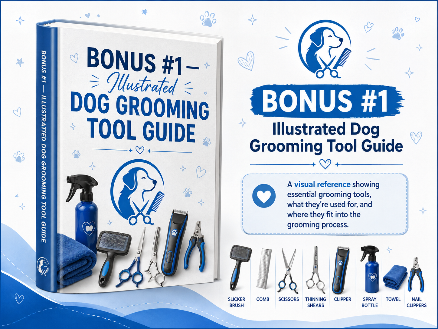 Illustrated Dog Grooming Tool Guide