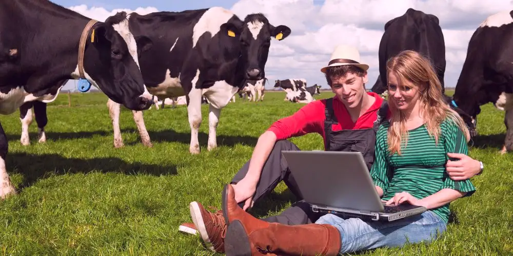 Winkel je vlees online en steun de lokale boer - vleeskopenbijdeboer.nl