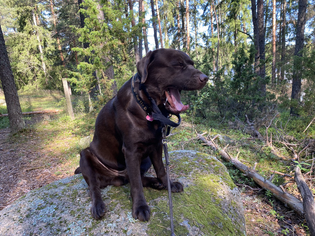 6-AAF7-E1-A-311-A-4-C85-B25-A-92-A55-BAE