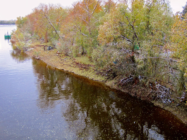 IMG-3548.jpg