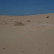 DSCF8553