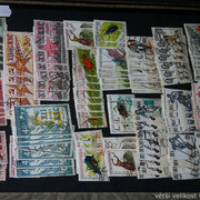 IMG-2034