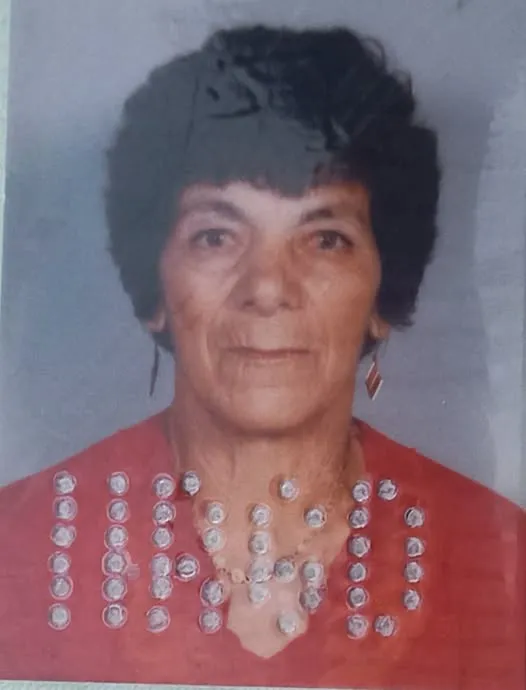 Amalvina Soudeler Leme
