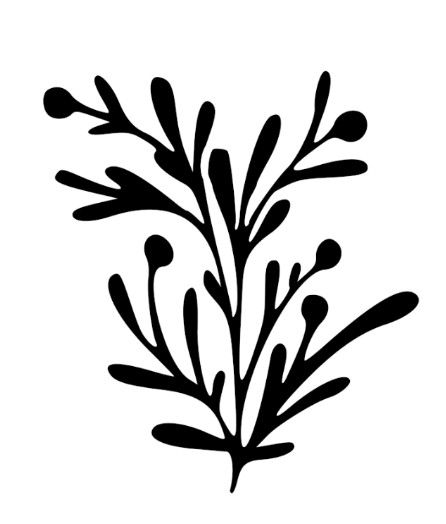 f4ebbfa286f1e322c8d6bbcac5470fc4.jpg