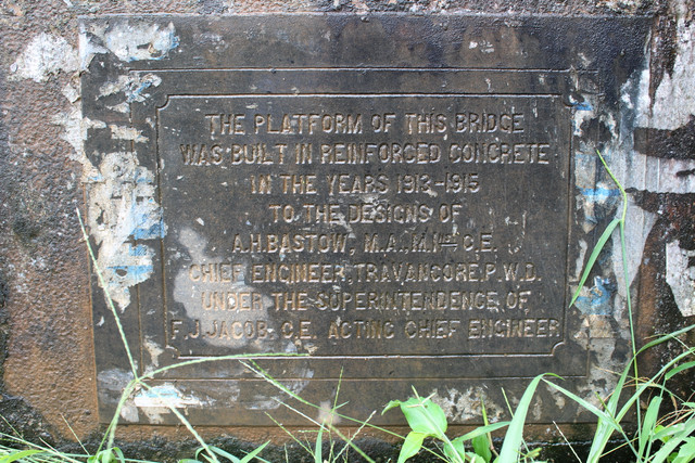 IMG 0593.jpg