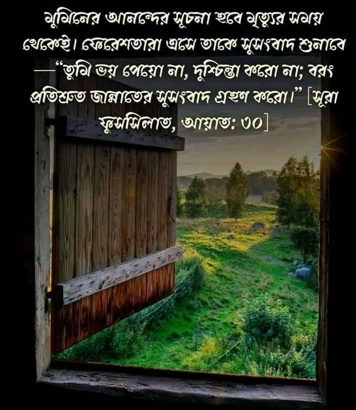 মুমিন, মৃত্যু, জান্নাত