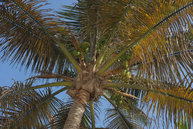 DSCF8242.jpg