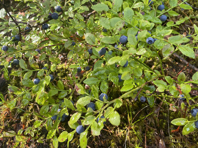 8347-FBBE-69-B0-4-E6-E-B994-E728-B5447-F