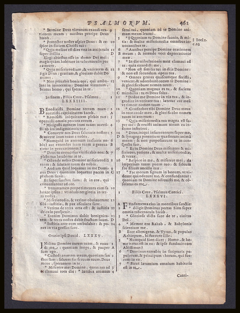 367158-2.jpg