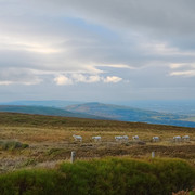 DSCF5473